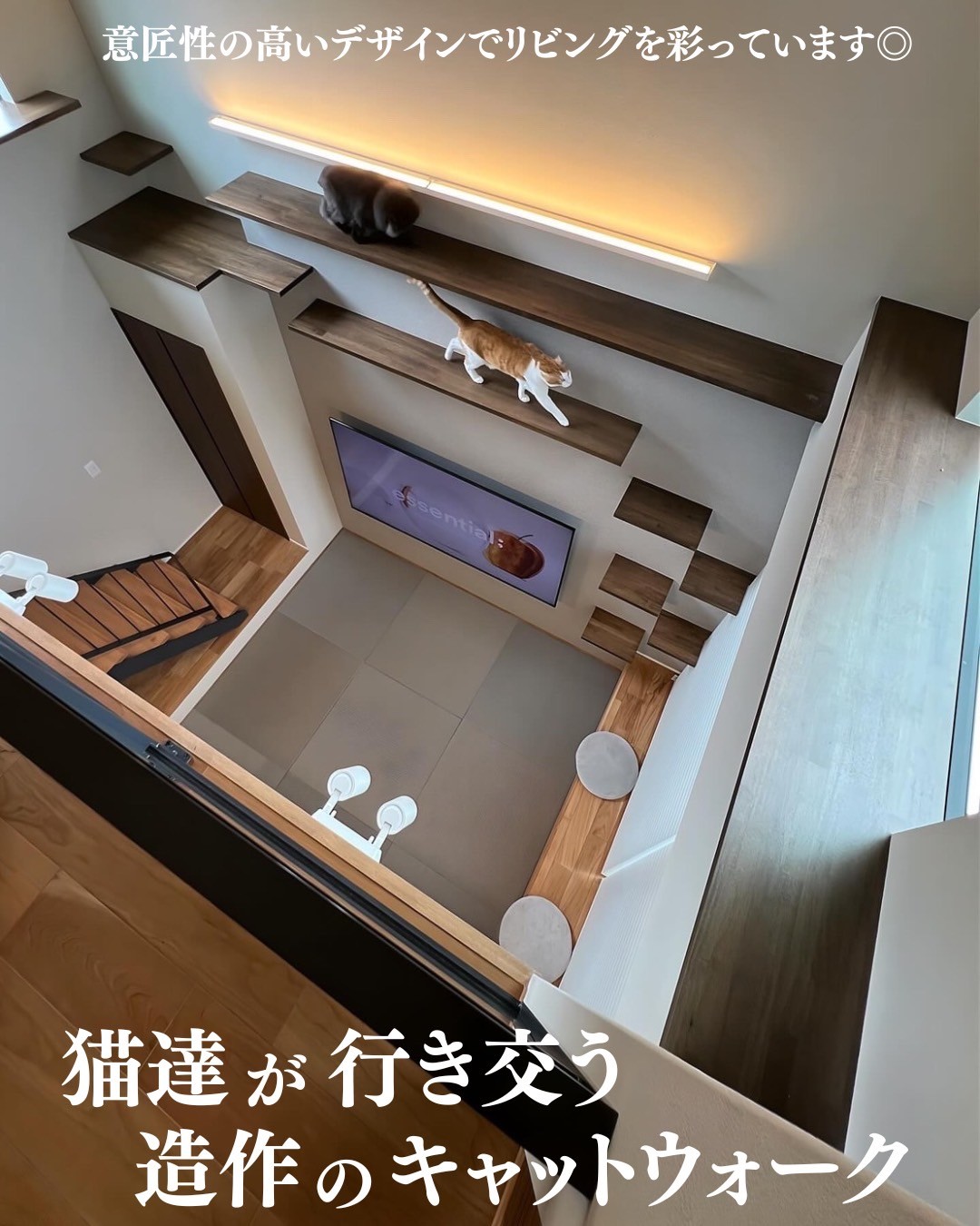 modern_002.webp modern_002.webp